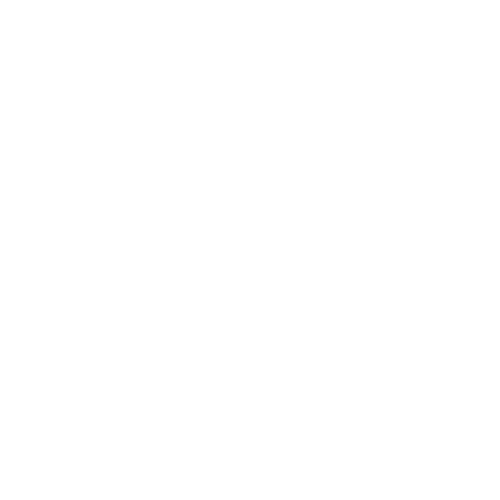 GRACE BRIDLE LTD